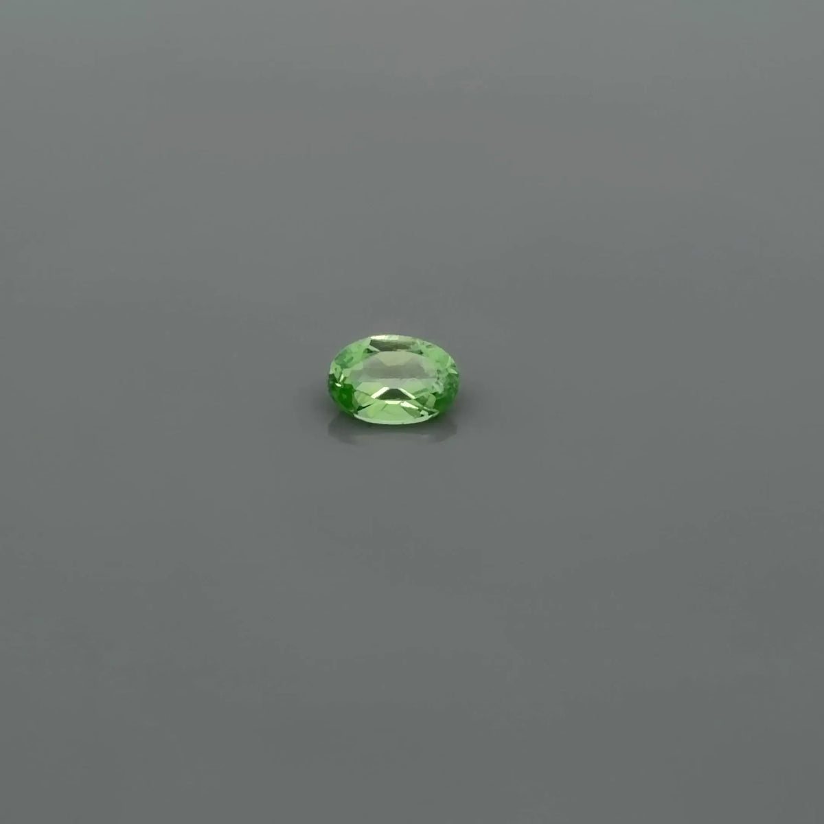 0.49ct Oval Natural Garnet (Colour Green, Clarity Slightly Included, Cut Faceted)