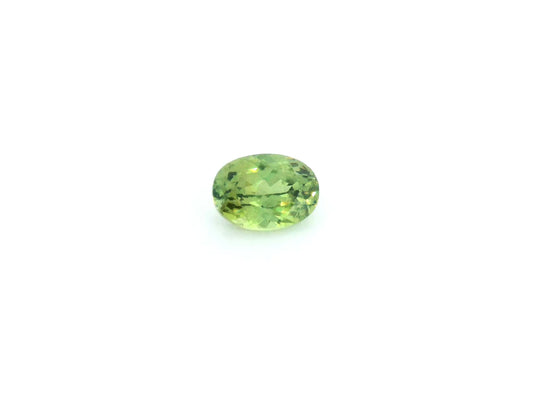 0.91ct Oval Natural Garnet (Colour Green, Clarity Slightly Included, Cut Faceted)