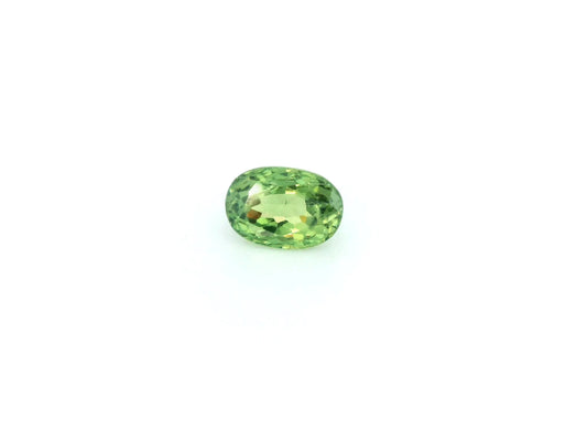 0.99ct Oval Natural Garnet (Colour Green, Clarity Eye Clean, Cut Faceted)