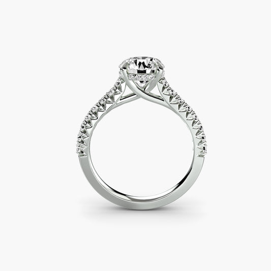 Anello Sentiero di Stelle